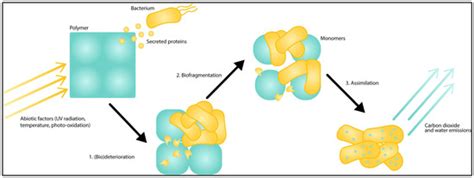 Polymers | Special Issue : Polymer Degradation and Its Environmental ...