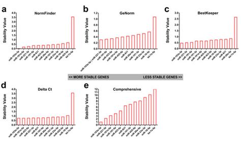 Serum Exosomal miRNAs for Grading Hepatic Fibrosis Due to Schistosomiasis