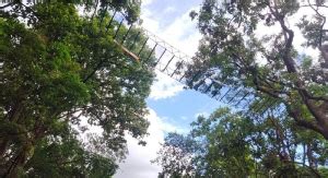 Down to Earth Photo Gallery | Pictures by Down To Earth