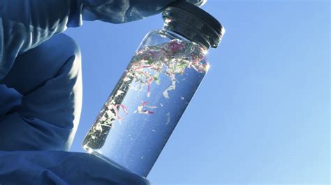 ¿Qué soluciones existen para eliminar los microplásticos?