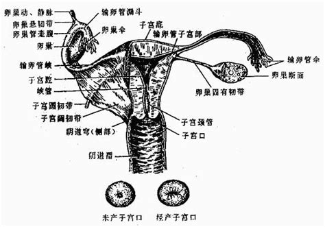 Image result for Virtual Science Lab