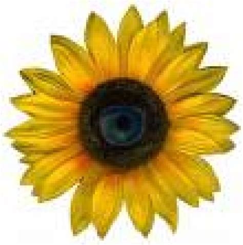 Esoterik Pendel Horoskop Anzeigen | Esoterik Pendel Horoskop Annoncen ...