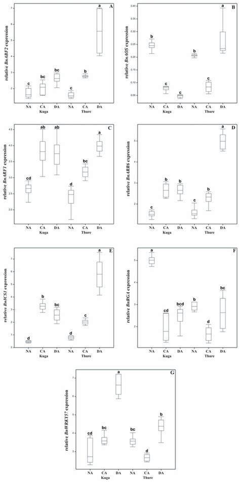 International Journal of Molecular Sciences | An Open Access Journal ...