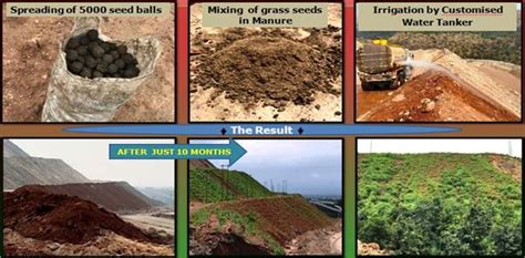 Greening Initiatives in coal sector | Ministry of Coal