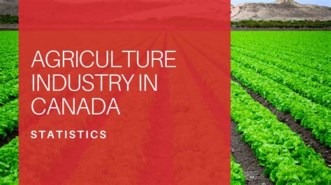 Agriculture Business Management In Canada at Ruby Osborne blog
