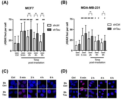 Cancer Cells Upregulate Tau to Gain Resistance to DNA Damaging Agents