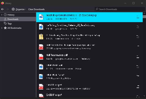 Image result for View Downloads On My Computer