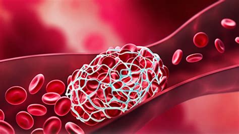 Home [www.campus.sanofi]