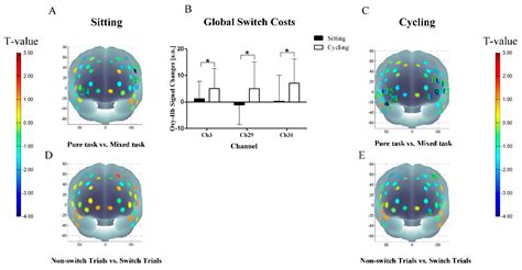 Executive Function Performance in Young Adults When Cycling at an ...