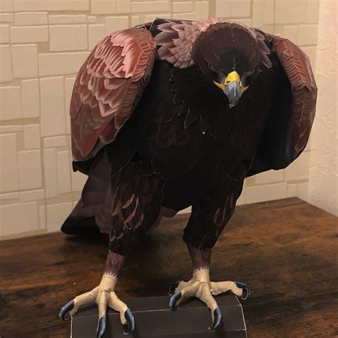 1/2 Golden Eagle paper craft - body イヌワシ ペーパークラフト胴体 | 紙鳥屋