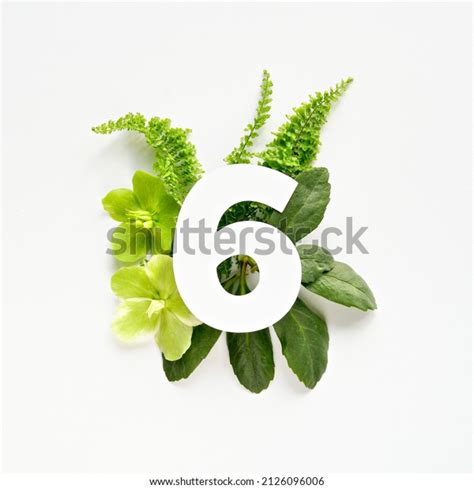 Image result for Tutorial Cut Out 6