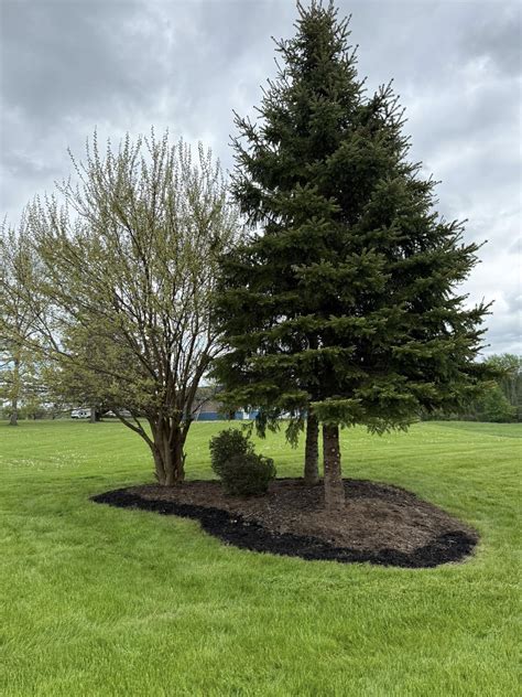 Day of Caring 2025 | Family First Federal Credit Union