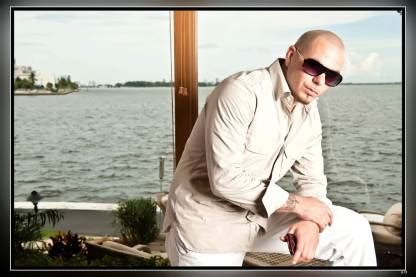 Pitbull Rapper Mr. Worldwide Singer Songwriter Quoted Pt Matte Finish ...