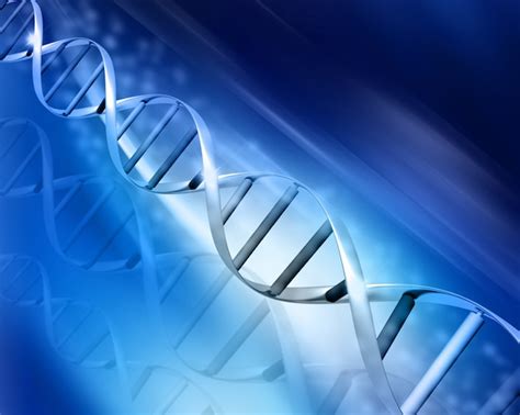 Image result for ADN Video Explicative