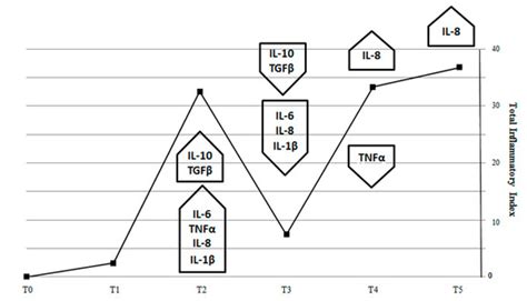Soybean Meal-Dependent Intestinal Inflammation Induces Different ...