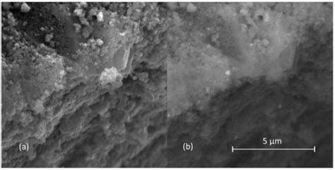 Processes | Special Issue : Catalysis in Advanced Oxidation Processes ...