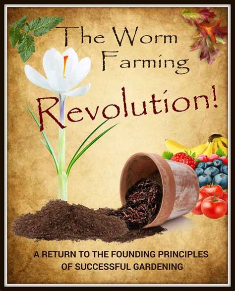 Worm Farming Business 的图像结果