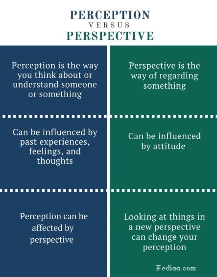 Perception and Perspective Comparison Chart 的图像结果