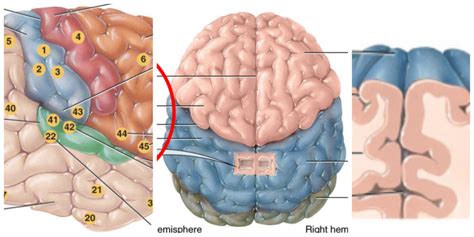 Cortex 的图像结果