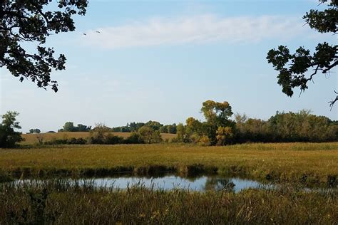 Great River Greening’s Bold Vision to Combat Climate Change in ...