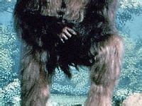 Image result for Bigfoot Found Alive