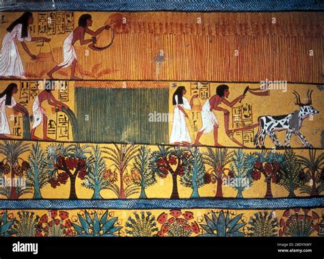 Ancient Egypt Farming