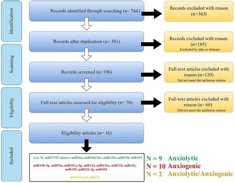 MAPK Is a Mutual Pathway Targeted by Anxiety-Related miRNAs, and E2F5 ...
