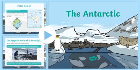 Homework Help: Antarctic Facts for Kids - Twinkl
