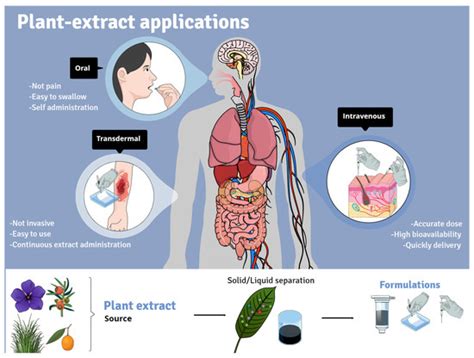 Use of Plant Extracts, Bee-Derived Products, and Probiotic-Related ...