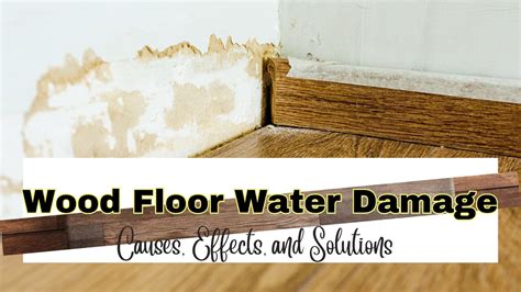 Wood Floor Water Damage: Causes, Effects, And Solutions