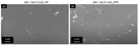 Comparative Study on Electrical Conductivity of CeO2-Doped AlN Ceramics ...