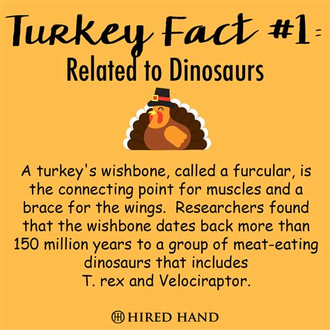 Interesting facts about Turkeys