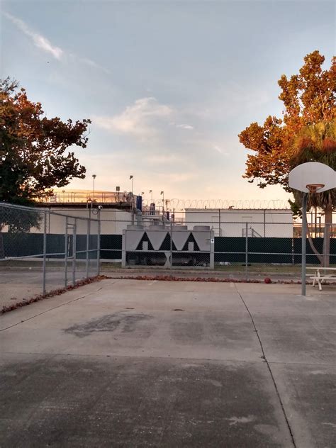 PINELLAS SAFE HARBOR - Clearwater FL - Hours, Directions, Reviews ...