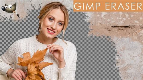 Image result for GIMP Tutorials Eraser