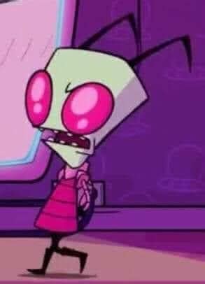 Image result for Zim Computer