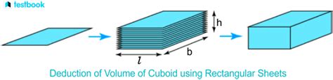 Image result for Volume of Cuboid Use Function in Coding