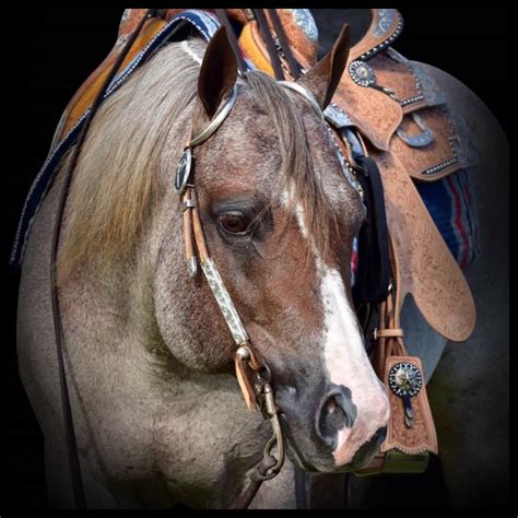 How to Run a Code Blue 的图像结果