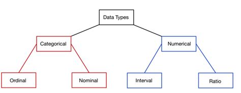 Image result for Data Types Explained