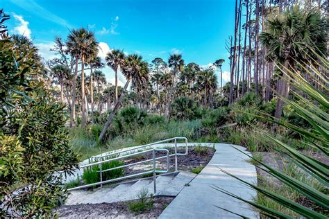 ULTIMATE Guide to Visiting Hunting Island State Park (SC) - Lost In The ...