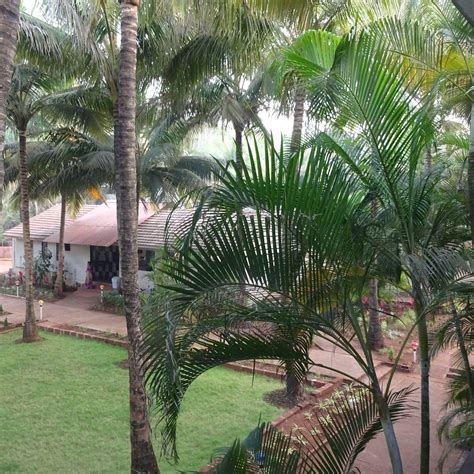 MADACHYA BANAT (Ganpatipule, Maharashtra) - Hotel Reviews, Photos, Rate ...