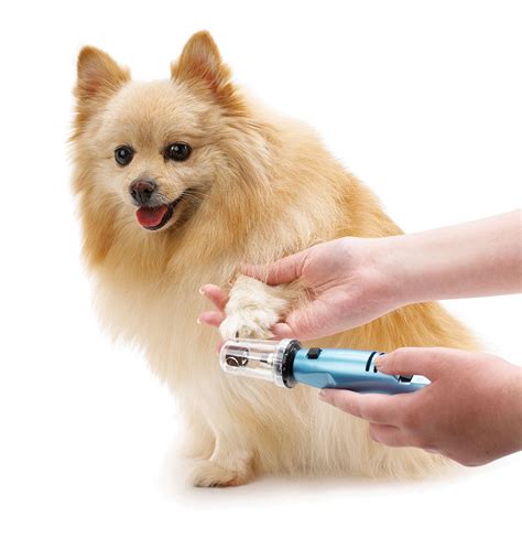 The Best Dog Nail Grinder for Treating Your Dog’s Nails - Your Pet Land
