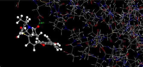 Image result for Simulation Interaction Diagram Molecular Dynamics