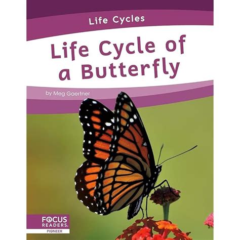 Buy Life Cycles: Life Cycle of a Butterfly Online at desertcart INDIA
