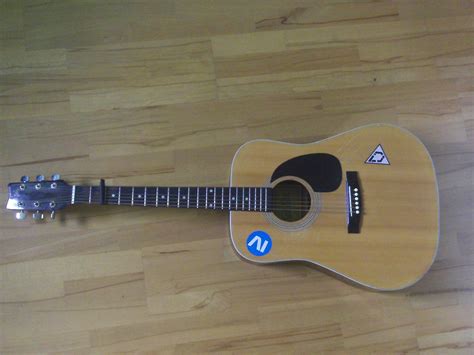 1971 Höfner 490 12 Saiter Westerngitarre in Haldensleben | Musik und ...