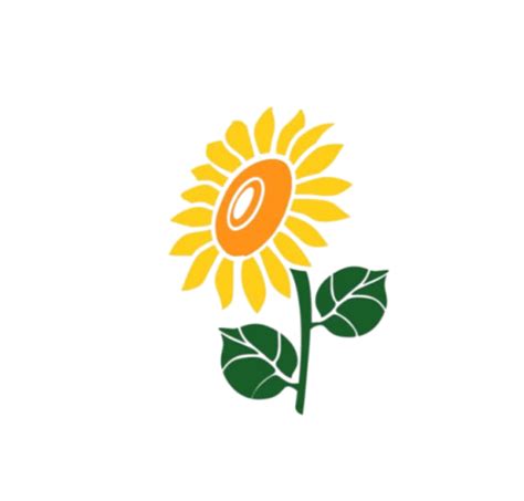 SUNFLOWER COLLEGE OF NURSING