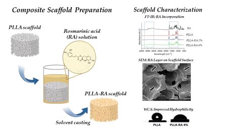 Poly-L-Lactic Acid Scaffolds Additivated with Rosmarinic Acid: A Multi ...