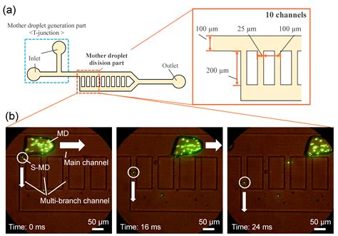 Efficient Generation of Microdroplets Using Tail Breakup Induced with ...