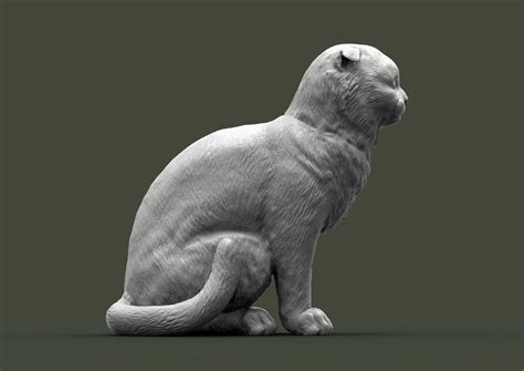 Scottish Fold Cat 3D Print Model by Alexander3dart