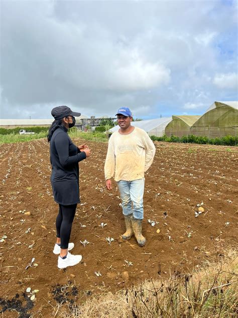 L'équipe de Smart Agriculture à La Laura - Mauritius Chamber of Agriculture