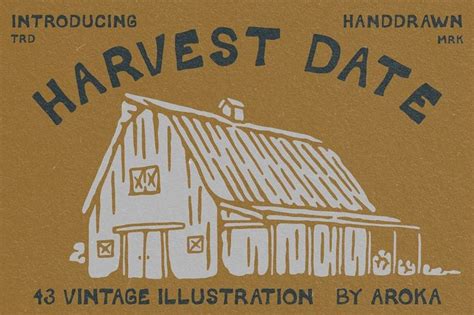 Write 的图像结果